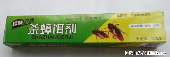 【紧急提醒】如果有“防疫站工作人员”上门灭杀蟑螂，请立刻报警 - 灌水专区 - 石河子生活社区 - 石河子28生活网 shz.28life.net