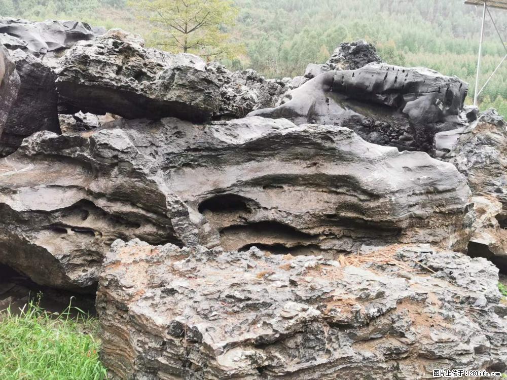 风景石、假山石大量有货，有需要的欢迎联系 - 新手上路 - 石河子生活社区 - 石河子28生活网 shz.28life.net