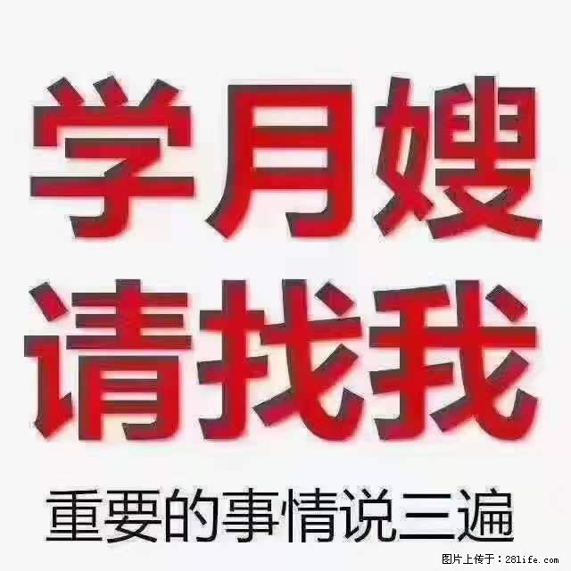 为什么要学习月嫂,育婴师? - 新手上路 - 石河子生活社区 - 石河子28生活网 shz.28life.net