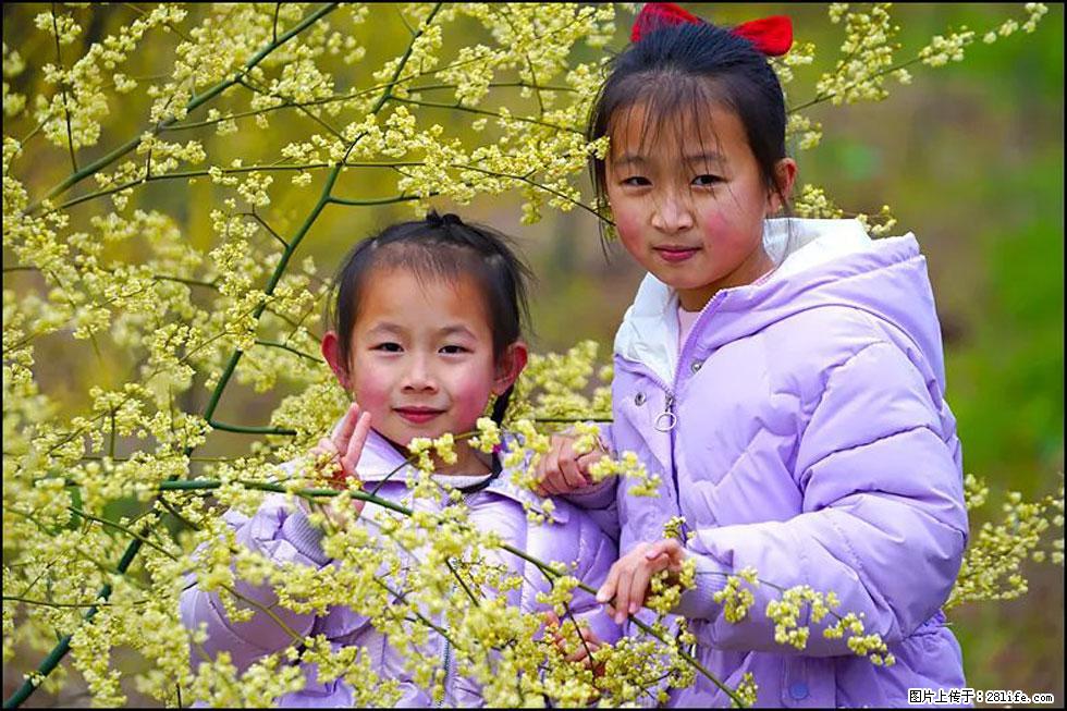 【春天，广西桂林灌阳县向您发出邀请！】米珠山前有片山苍子花在飘香 - 游山玩水 - 石河子生活社区 - 石河子28生活网 shz.28life.net