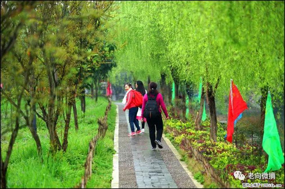 【春天，广西桂林灌阳县向您发出邀请！】江口老街又逢春 - 游山玩水 - 石河子生活社区 - 石河子28生活网 shz.28life.net