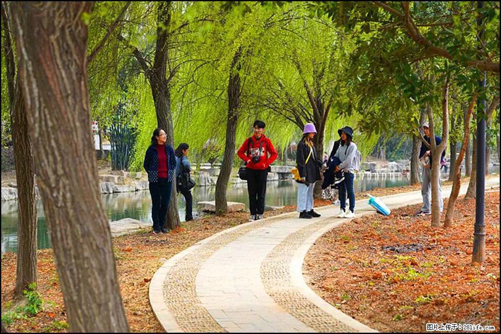 【春天，广西桂林灌阳县向您发出邀请！】江口老街又逢春 - 游山玩水 - 石河子生活社区 - 石河子28生活网 shz.28life.net