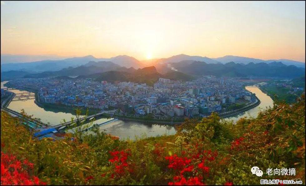 【春天，广西桂林灌阳县向您发出邀请！】登麒麟山，相约映山红 - 游山玩水 - 石河子生活社区 - 石河子28生活网 shz.28life.net