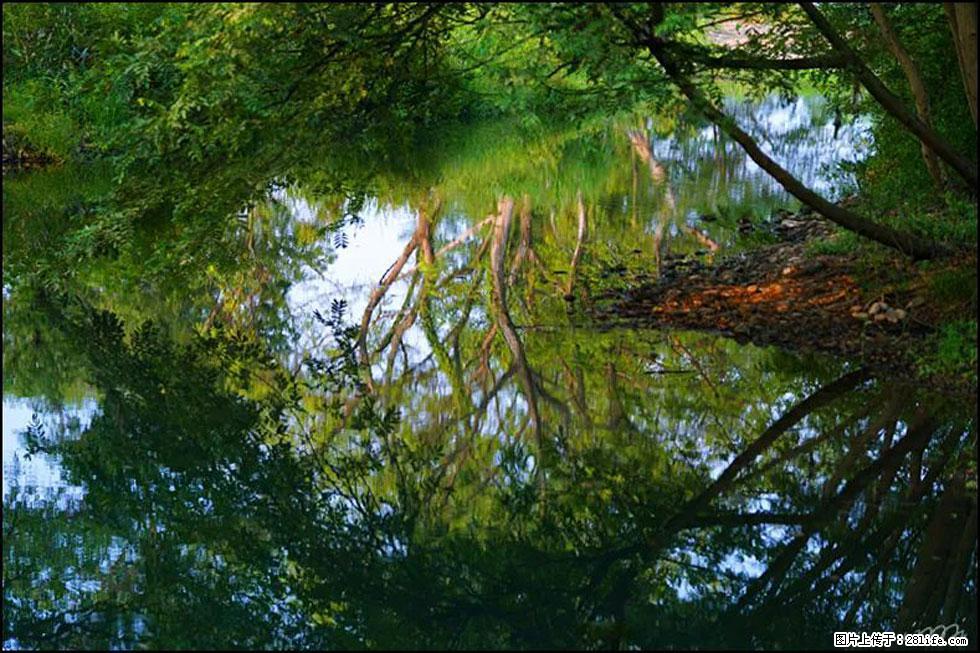 【春天，广西桂林灌阳县向您发出邀请！】熊家寨湿地公园 - 游山玩水 - 石河子生活社区 - 石河子28生活网 shz.28life.net