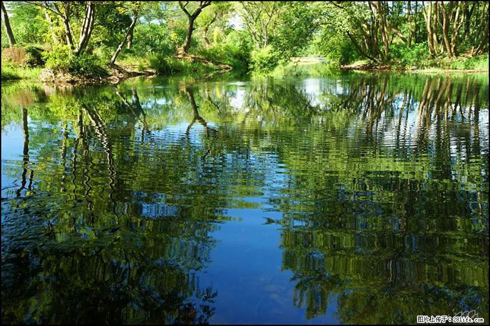 【春天，广西桂林灌阳县向您发出邀请！】熊家寨湿地公园 - 游山玩水 - 石河子生活社区 - 石河子28生活网 shz.28life.net
