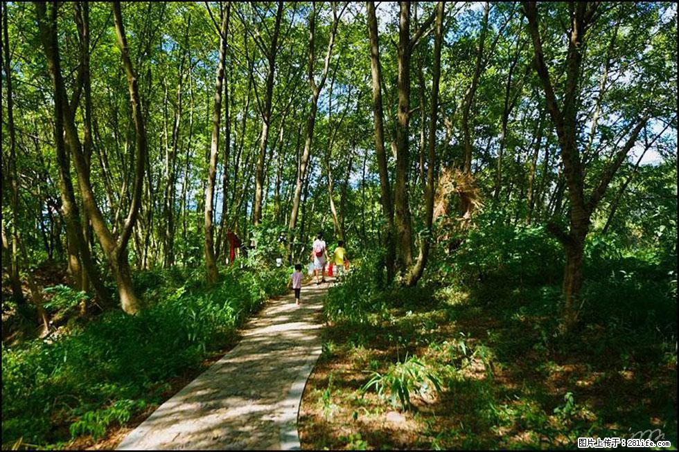 【春天，广西桂林灌阳县向您发出邀请！】熊家寨湿地公园 - 游山玩水 - 石河子生活社区 - 石河子28生活网 shz.28life.net