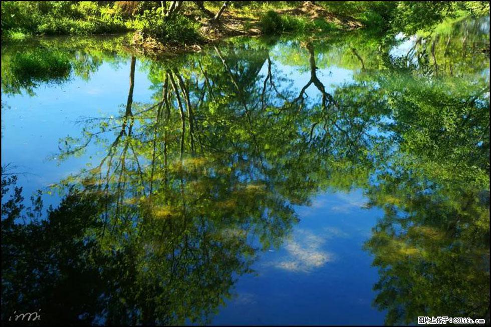 【春天，广西桂林灌阳县向您发出邀请！】熊家寨湿地公园 - 游山玩水 - 石河子生活社区 - 石河子28生活网 shz.28life.net