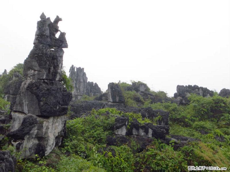 桂林旅游名城景点：灌阳文市石林 - 游山玩水 - 石河子生活社区 - 石河子28生活网 shz.28life.net