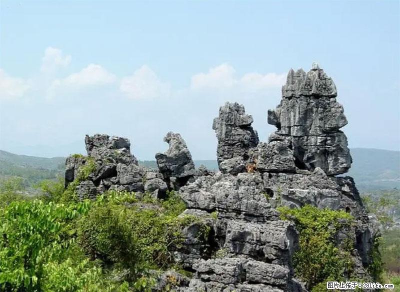 桂林旅游名城景点：灌阳文市石林 - 游山玩水 - 石河子生活社区 - 石河子28生活网 shz.28life.net
