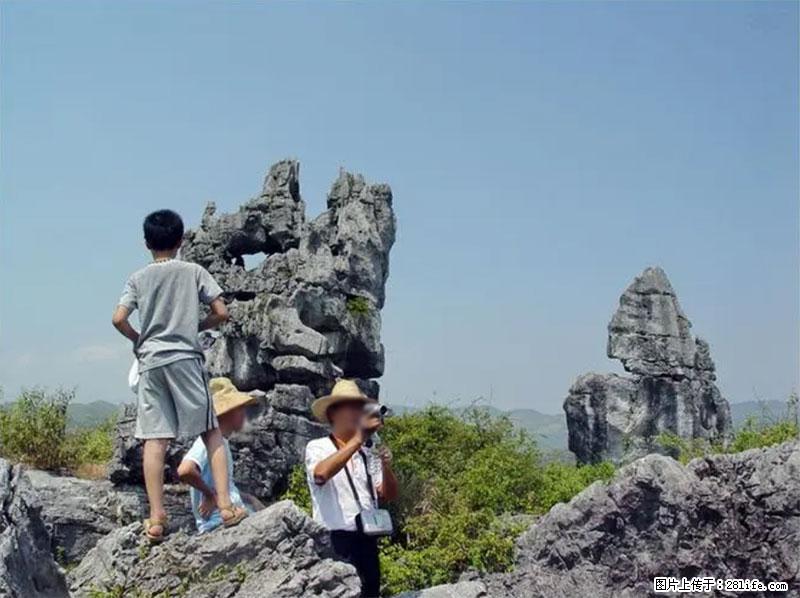 桂林旅游名城景点：灌阳文市石林 - 游山玩水 - 石河子生活社区 - 石河子28生活网 shz.28life.net