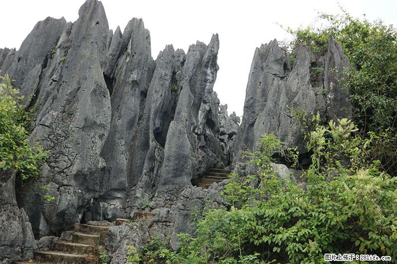 桂林旅游名城景点：灌阳文市石林 - 游山玩水 - 石河子生活社区 - 石河子28生活网 shz.28life.net