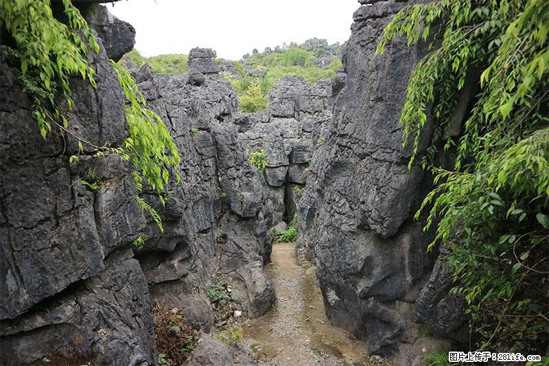 桂林旅游名城景点：灌阳文市石林 - 游山玩水 - 石河子生活社区 - 石河子28生活网 shz.28life.net