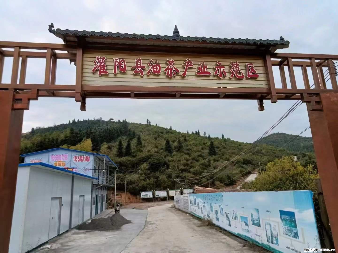 【灌阳县油茶产业示范区】一个有着充实的精神生活的人，对待身外之物自会有一种淡泊的态度 - 土特产 - 饮食特产 - 石河子分类信息 - 石河子28生活网 shz.28life.net