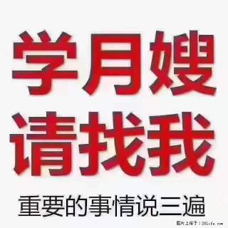 为什么要学习月嫂，育婴师？ - 石河子28生活网 shz.28life.net
