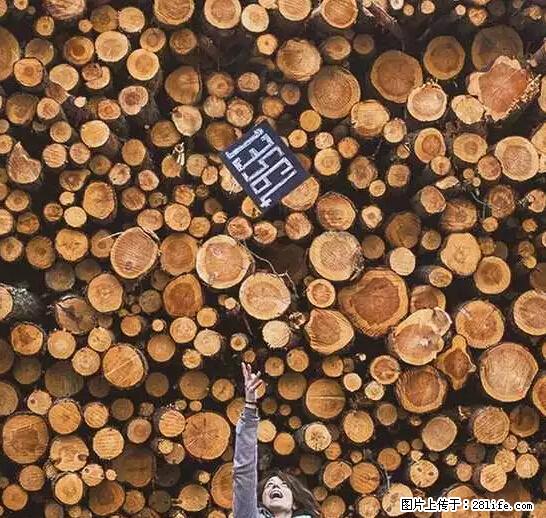 辞掉工作周游世界？现在他们在洗厕所…… - 游山玩水 - 石河子生活社区 - 石河子28生活网 shz.28life.net