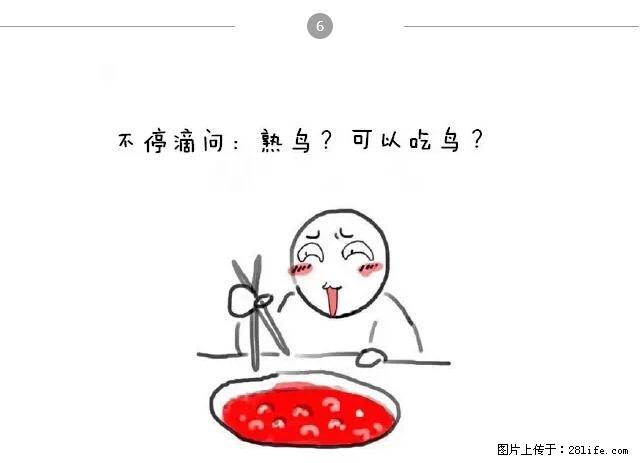千万不要和这9种哈卵一起吃火锅！ - 美食天地 - 石河子生活社区 - 石河子28生活网 shz.28life.net