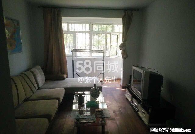 白杨小区 2室1厅1卫 - 房屋出租 - 房屋租售 - 石河子分类信息 - 石河子28生活网 shz.28life.net