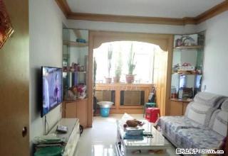 6小区钻石一楼邮电院内精装修全明两居 拎包入住 - 石河子28生活网 shz.28life.net