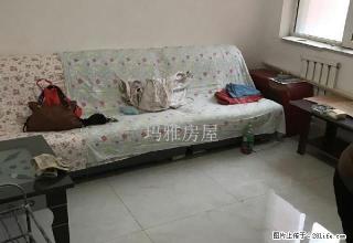 12小区四楼精装修未入住天虹家具城旁拎包入住 - 石河子28生活网 shz.28life.net