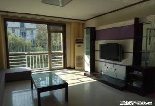 开发区41小区阳光丽景3楼精装三室两厅出租 - 石河子28生活网 shz.28life.net