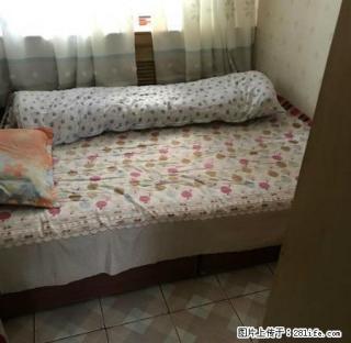 13小区人民医院附近两室一厅的房子出租！ - 石河子28生活网 shz.28life.net