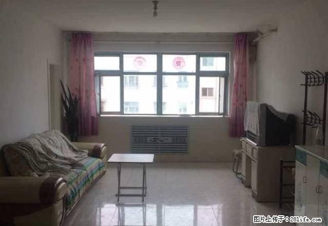 25小区领包入住好房出租 - 房屋出租 - 房屋租售 - 石河子分类信息 - 石河子28生活网 shz.28life.net