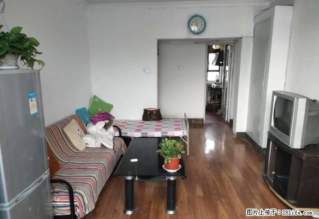 14小区3楼中装可短租 - 房屋出租 - 房屋租售 - 石河子分类信息 - 石河子28生活网 shz.28life.net