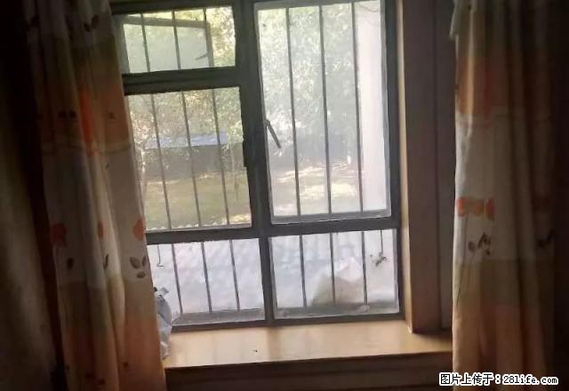 房子很不错，押一付一抖可以，欢迎指点。 - 房屋出租 - 房屋租售 - 石河子分类信息 - 石河子28生活网 shz.28life.net
