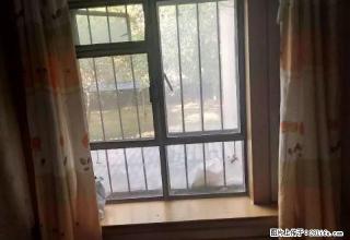 房子很不错，押一付一抖可以，欢迎指点。 - 石河子28生活网 shz.28life.net