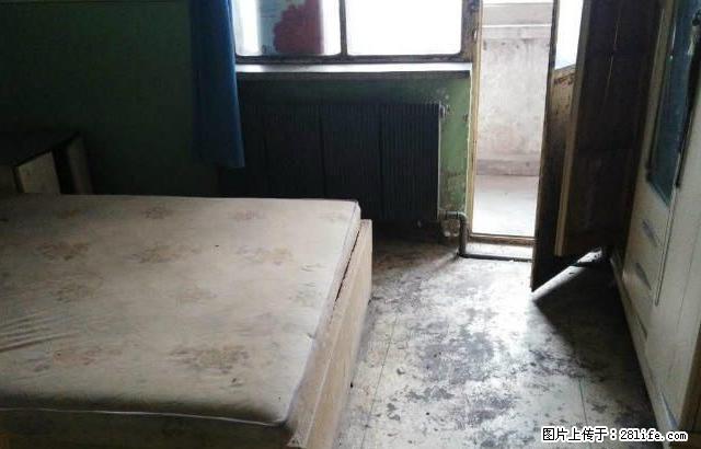 配套齐全，16小区 750元 2室2厅1卫 普通装修急租！ - 房屋出租 - 房屋租售 - 石河子分类信息 - 石河子28生活网 shz.28life.net