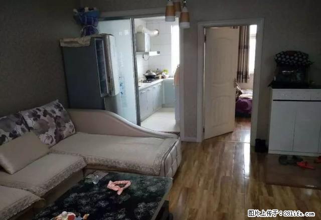 12小区友谊大厦精装修婚房出租 - 房屋出租 - 房屋租售 - 石河子分类信息 - 石河子28生活网 shz.28life.net