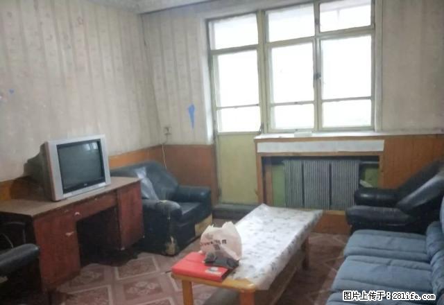 粮油（工二小区）两室一厅出租 - 房屋出租 - 房屋租售 - 石河子分类信息 - 石河子28生活网 shz.28life.net