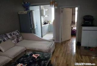 12小区友谊大厦精装修婚房出租 - 石河子28生活网 shz.28life.net