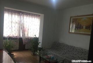 11小区，两室一厅，精装，随时看房，好房不多 - 石河子28生活网 shz.28life.net