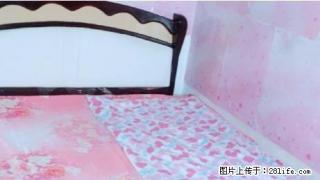 (单间出租)向阳石河子市21 2室1厅 次卧 朝南北 精装修(个人) - 石河子28生活网 shz.28life.net