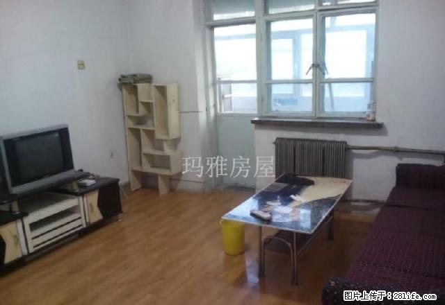 13小区 凯瑞酒店旁 5楼 温馨小两室 拎包入住 有钥匙 - 房屋出租 - 房屋租售 - 石河子分类信息 - 石河子28生活网 shz.28life.net