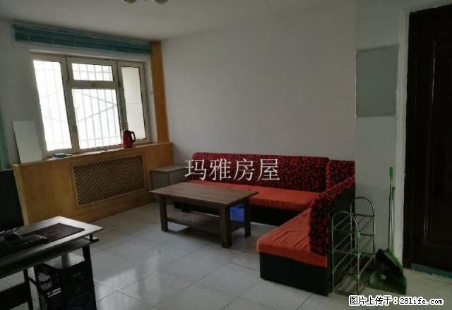 13小区大三室户型好采光好位置佳急租 - 房屋出租 - 房屋租售 - 石河子分类信息 - 石河子28生活网 shz.28life.net