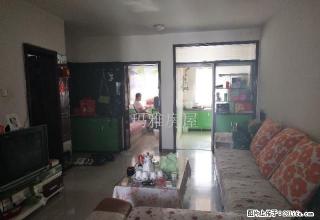5小区金城花园 精装两室两厅 可直接拎包入住 - 石河子28生活网 shz.28life.net
