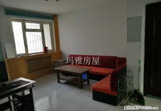 13小区大三室户型好采光好位置佳急租 - 石河子28生活网 shz.28life.net
