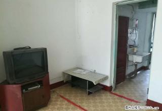 3小区东带家具家电800元租 - 石河子28生活网 shz.28life.net