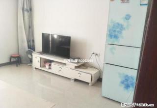 6小区 老街好房直租 - 石河子28生活网 shz.28life.net