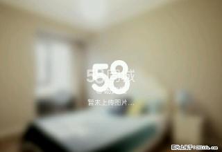 新疆石河子 2室1厅1卫 - 石河子28生活网 shz.28life.net