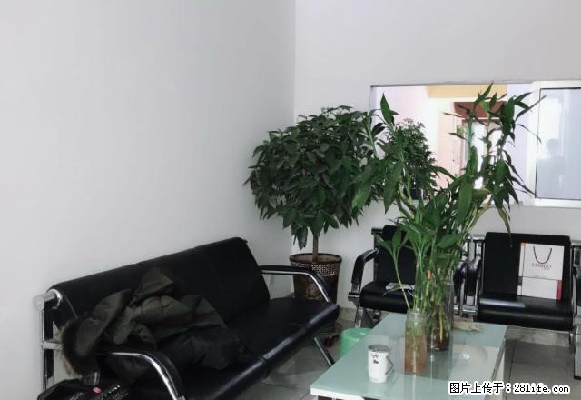 出租一楼门面带住宅 标准户型 冬暖夏凉 热闹 早市斜对 - 房屋出租 - 房屋租售 - 石河子分类信息 - 石河子28生活网 shz.28life.net