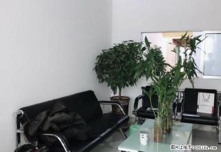 出租一楼门面带住宅 标准户型 冬暖夏凉 热闹 早市斜对 - 石河子28生活网 shz.28life.net