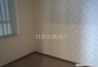 友谊大厦精装 3室 可配家具 1单元 紧挨商业街 诚意出租 - 石河子28生活网 shz.28life.net