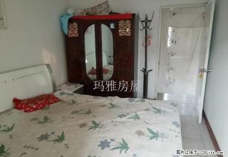 6小区 2室2厅 拎包入住 房子便宜出租啦 - 石河子28生活网 shz.28life.net