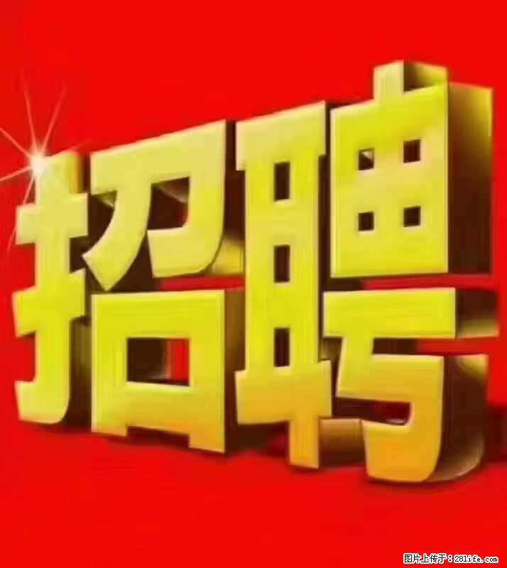 【东莞市威萨电子科技有限公司】公司直招：外贸业务、仓管员、跟单文员、普工 - 职场交流 - 石河子生活社区 - 石河子28生活网 shz.28life.net