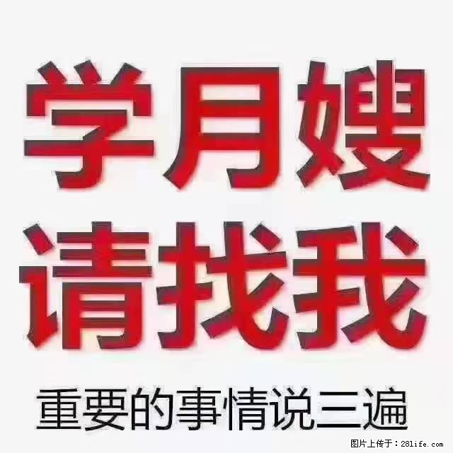 【招聘】月嫂，上海徐汇区 - 职场交流 - 石河子生活社区 - 石河子28生活网 shz.28life.net