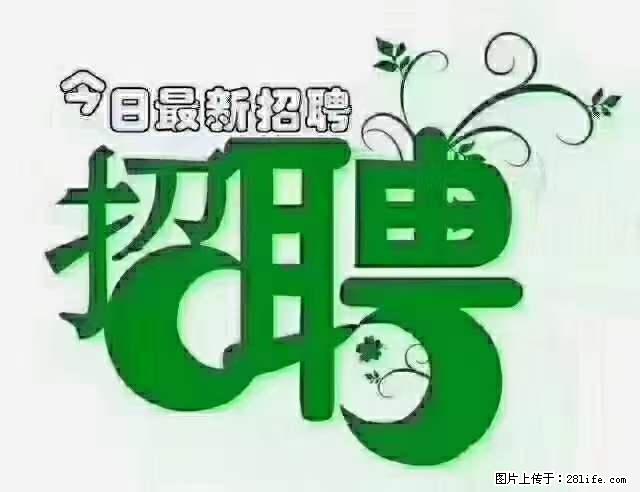 急聘！急聘！上海酒店长期前台，做六休一，每天8小时，6000块钱一月 - 职场交流 - 石河子生活社区 - 石河子28生活网 shz.28life.net