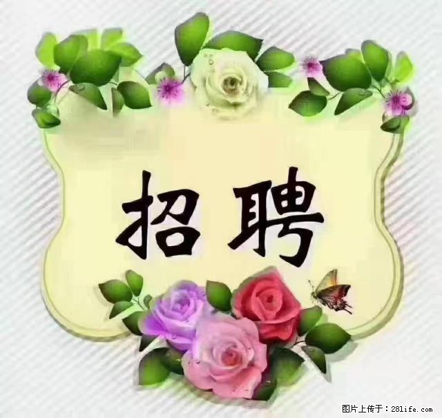 【招聘】住家育儿嫂，上户日期：4月4日，工作地址：上海 黄浦区 - 职场交流 - 石河子生活社区 - 石河子28生活网 shz.28life.net